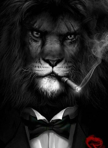 Φωτογραφία #5371498