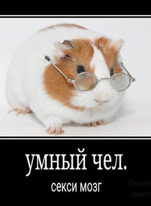 kate_vi My Photos photo 8313947