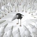 the-distance