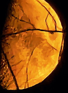 -_X_- My Photos photo 15254959