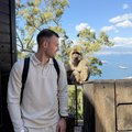 hugo8520