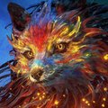 Zorrfox