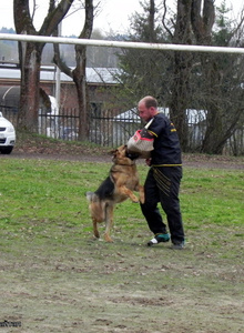 Shiv66 My Photos photo 6349822