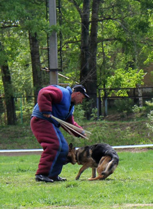 Shiv66 My Photos photo 6349827