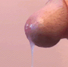 Mnbvcxz81a