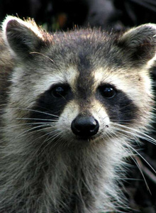 jeww1488 My Photos photo 7706199