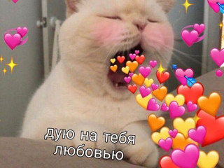 пох пляшим