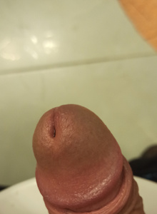 Archi198501 My Photos photo 7559642