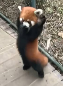 Sentielka My Photos photo 10105153