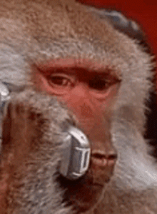 immortalAss невр photo 10723045