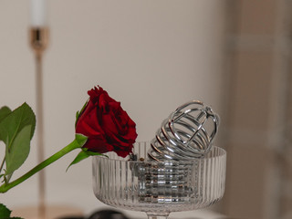 Erotica that you like