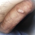 Maks445566