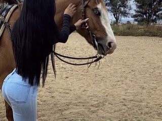 love animals