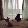 Contortnympho