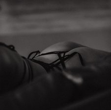 -With-You-