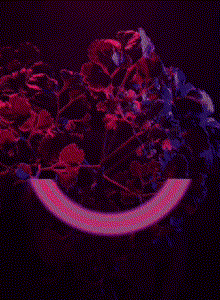 MiniJeembo My Photos photo 8654108