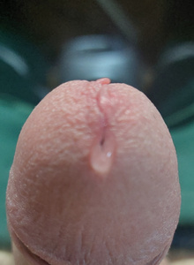 Mr-Men1 My Photos photo 8680707