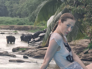 elephants