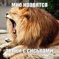 Elvinnn78911