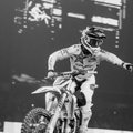 the_stuntman_
