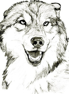 -Vol4onok- My Photos photo 7178930