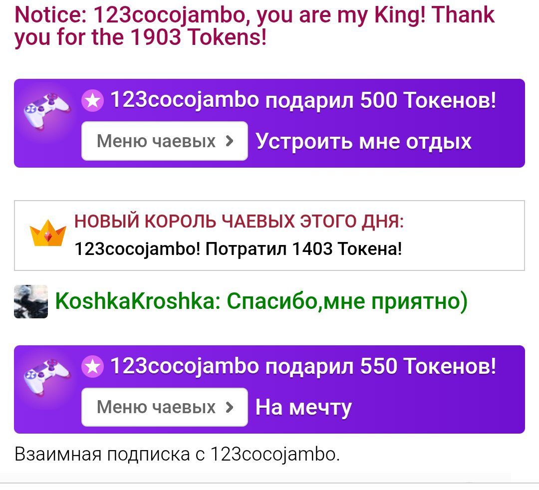 KoshkaKroshka 03.08.2025 image: 1