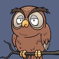 DrunkenOwl