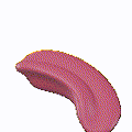 srlombardo2