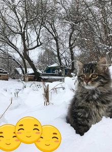 Overlord-Z My Photos photo 7444423