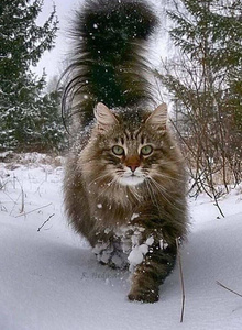 Overlord-Z My Photos photo 7444427