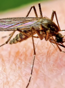 cloudy_KOMAP_ My Photos photo 8033031