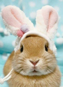 -KroLL- My Photos photo 8622465