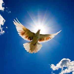 Peace, all over the world..