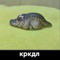 Kreyer