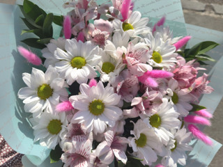 My flowers🌸🌸💕