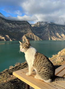 Hermoyr htrmoyr photo 13769624