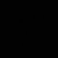Rodion1118