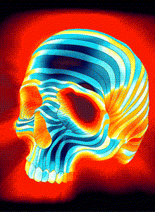 TBON_HABEKI My Photos photo 9065612