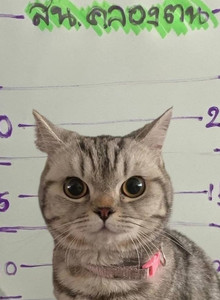 TVOY_BRATIK My Photos photo 13250657