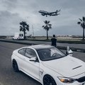 zolotovdream