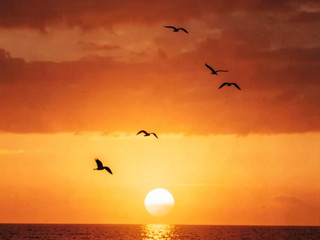 My Photos