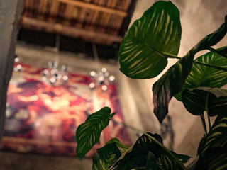 Mystical experiences ✨