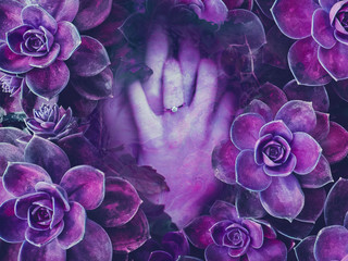 My Photos
