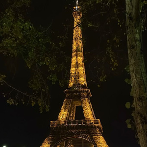 Travel to Paris
