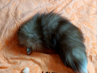 My toys