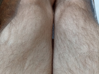 Legs