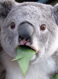 Kadzuja My Photos photo 8748088