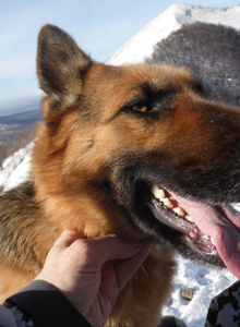 SeksAngel-35 Защита photo 8868313