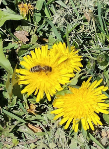 Goty141 My Photos photo 15232366