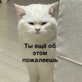 NERFRider